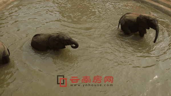 �Ї����ɺ����H���ζȼم^(q��)