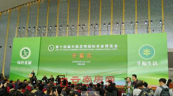 ��ʮ�Č��Ї��������H�r�I(y��)���[�����DƬ��Դ�ھW�j��