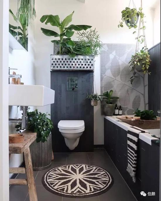 �[ɳ�l(f��)��䁵�̺����ľ�ذ� �l(w��i)���g߀�����@ô�b