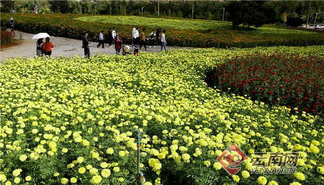 ������ȪС�(zh��n)�������B(t��i)����������