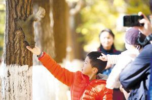 ��������Ա��o(h��)͹�@�����������@�ӵġ��Gɫ�����ǐ���ѽ