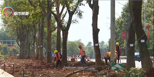 �����w�C�M���@���C���������Q����@Щ���c�e�e�^