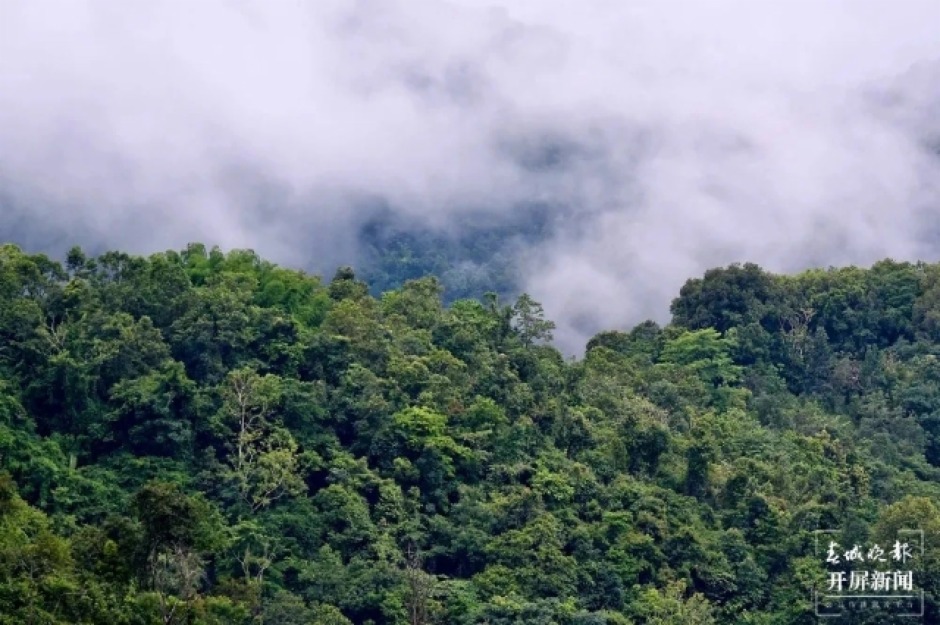 ���D(zhu��n)�����F·���ڰ�վ�����p��{վ