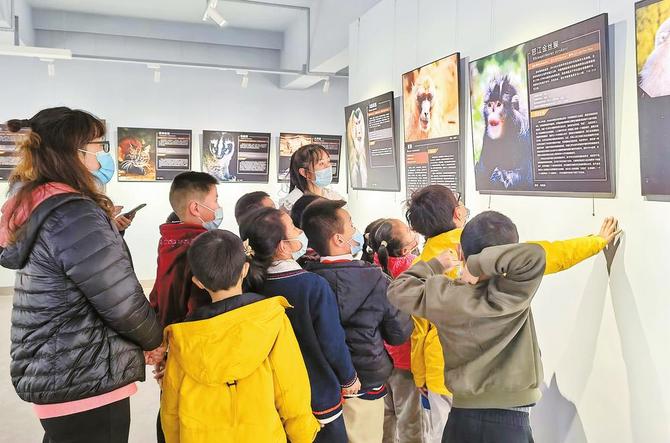 ������(d��ng)�ﲩ���^չʾ������ϡ��(d��ng)��