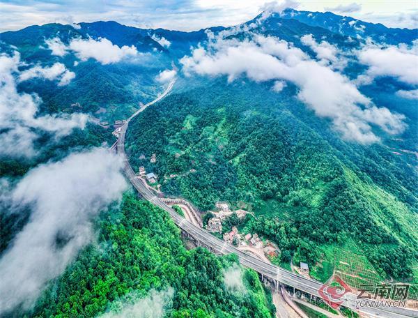 ���Ѹ���