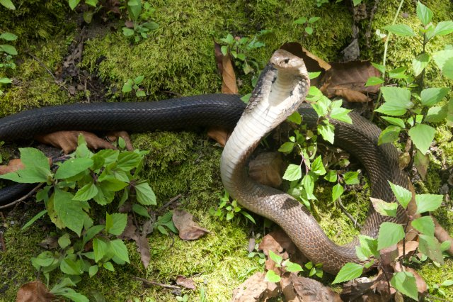 ���������о���