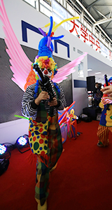 2013���������